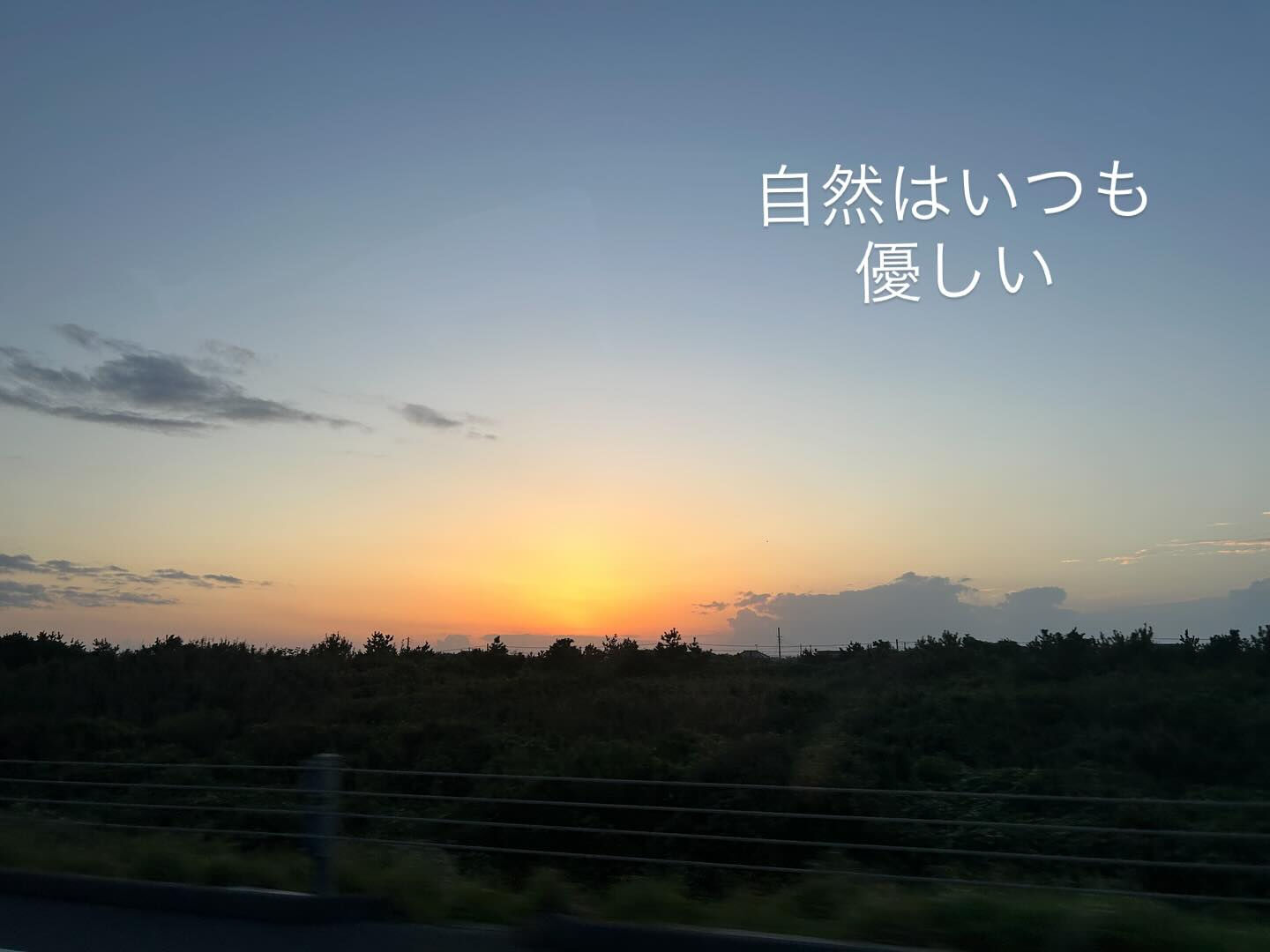 すっかり秋ですね