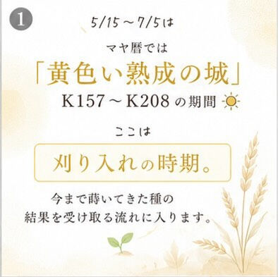 5/15〜7/5は