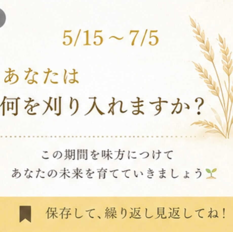 5/15〜7/5は