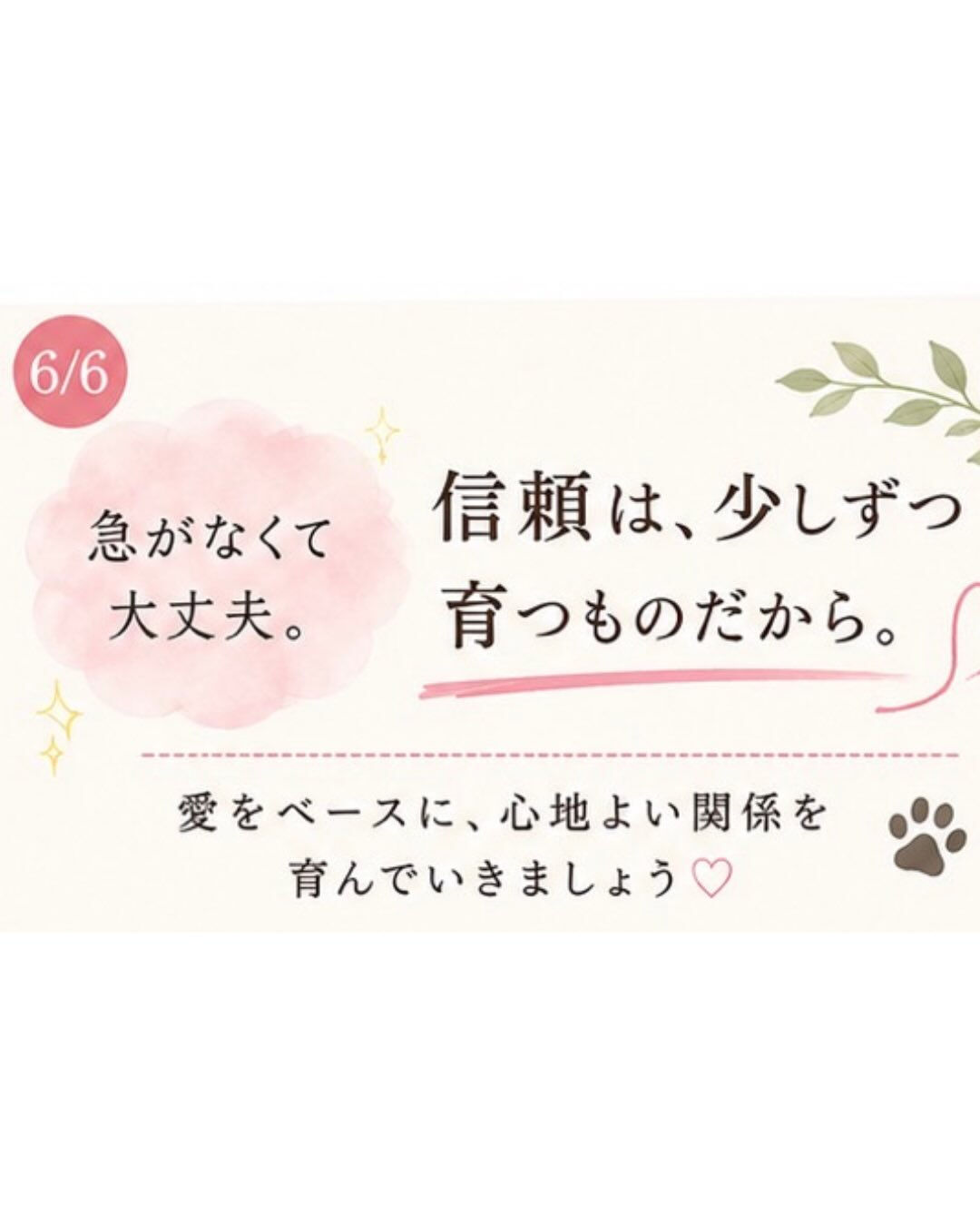 【今日から “白い犬の13日間” がスタート🐶🤍】